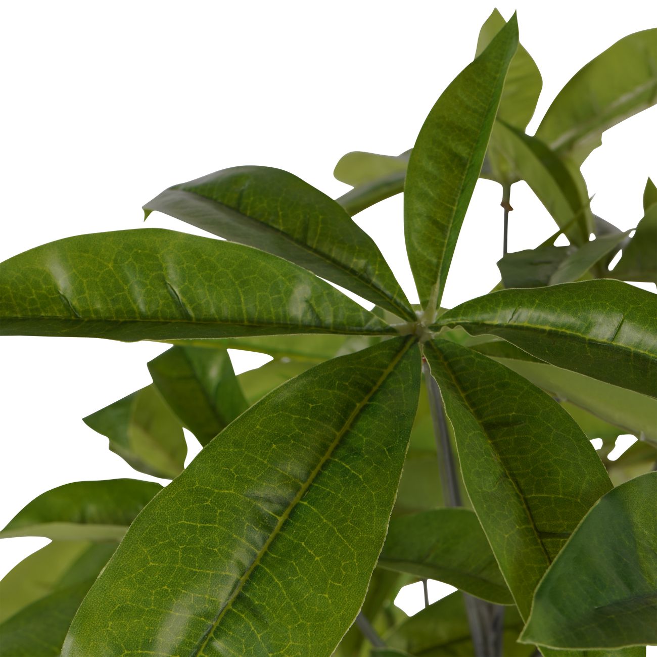 Artificial Pachira Money Plant 65cm Large